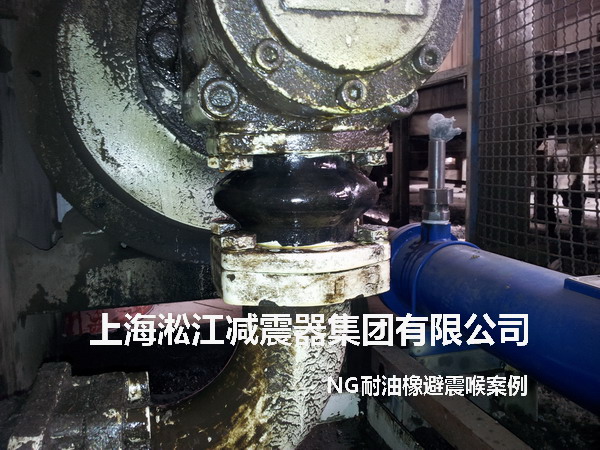 液壓泵NG耐油橡膠避震喉，NG耐油橡膠避震喉照片